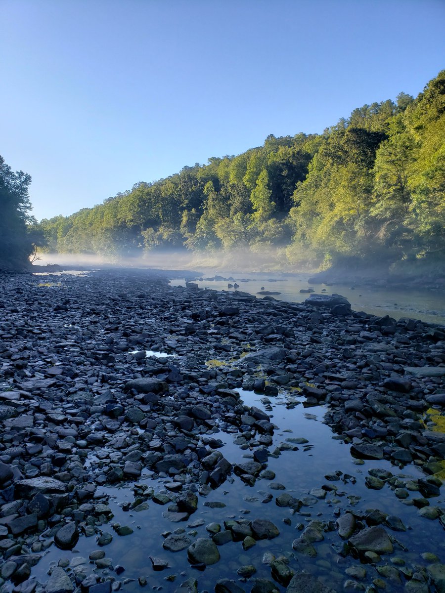 MagicCityTackle's tweet photo. Saw this today on a trout fishing trip #Fishermen'sPrayer
We were very much reminded of the fact when the world around you gets too crazy, there's always sanity near the waters edge #Flyfishing #FishAL
https://t.co/lmxJjn16So https://t.co/9skVMVo78Q
