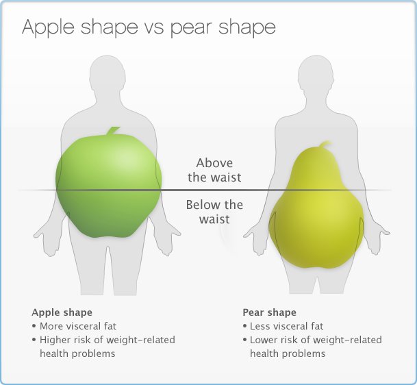 MedBiotechnol's tweet photo. #Pear-Shaped #Body is #Healthier than Apple #Shape
https://t.co/Dt323CV45q
Dear Researchers, We request you to submit your efforts in the form of articles on or before 28 September 2018. For any information needed send Direct Message via twitter. https://t.co/6MY7mVAR8g