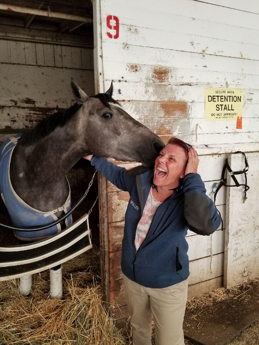 JAWongRacing's tweet photo. Amers getting a visit from one of her owners with @MyRacehorse this evening at @GGFracing ... #Amers #MyRaceHorse #BarnVisits #RaceHorseOwnership #HorseKisses ❤️❤️❤️ https://t.co/mOrPyKwP0N