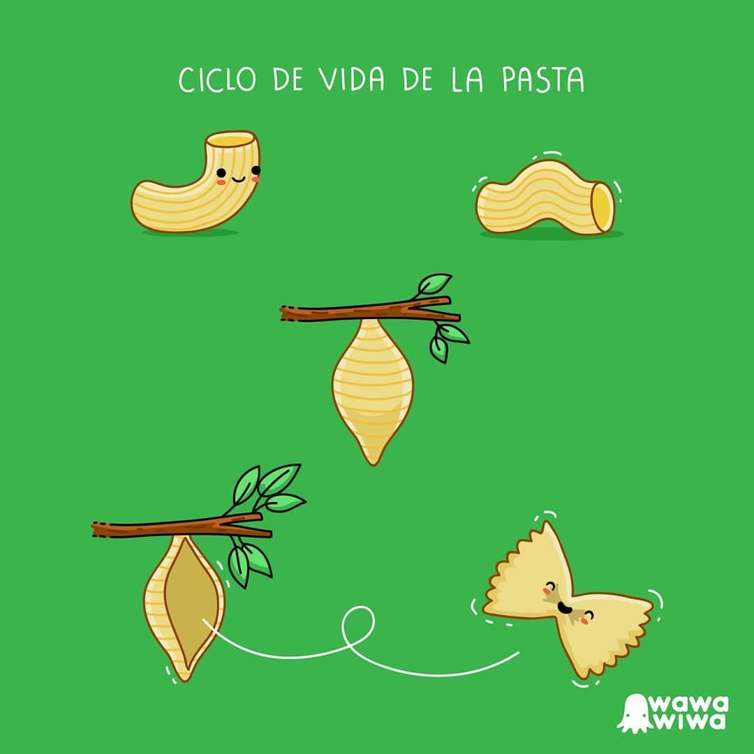 9GAG's tweet photo. The life cycle of pasta
By @WawawiwaDesign https://t.co/PN9fqGxm3V