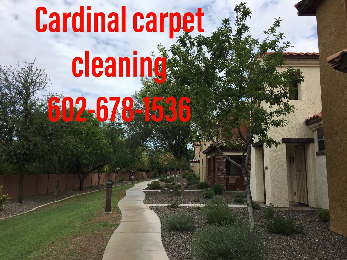 CardinlCarpetAZ's tweet photo. We clean tile and grout, carpet, rugs, upholstery cleaning, Auto interior, same day service when available. Call today for your free quote! #6026781536 #carpetcleaning #tilecleaning #rugcleaning #sameday #schemmamarkup #googlemybusiness #seo #sem #uiux #senuke #senukecxr https://t.co/349GrXWhRU