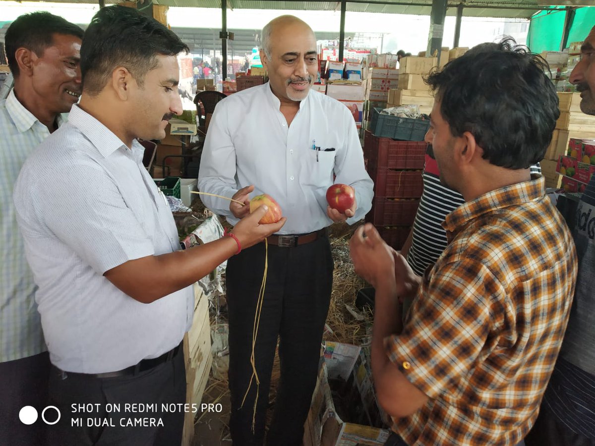 dhpm_jk's tweet photo. #Chief Executive and #Secretary #Agricultural #Produce #Market #Committee (APMC) Narwal along with their Team Members conducted #Awareness #Programme on #Grading &amp; #Packing in #Fruit Mandi Narwal Jammu. https://t.co/d8q8oH9Zs0