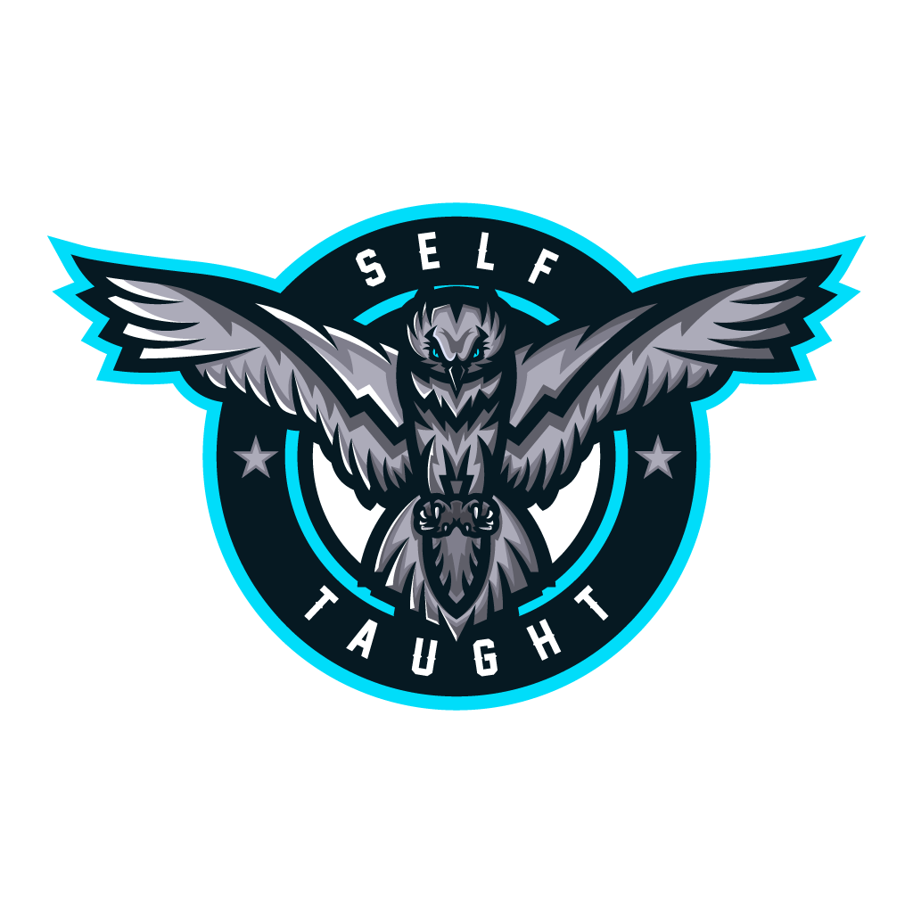 SelfTaught2k's tweet photo. 🦉. https://t.co/8SbjbCnSV7