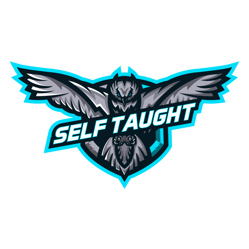 SelfTaught2k's tweet photo. 🦉. https://t.co/8SbjbCnSV7
