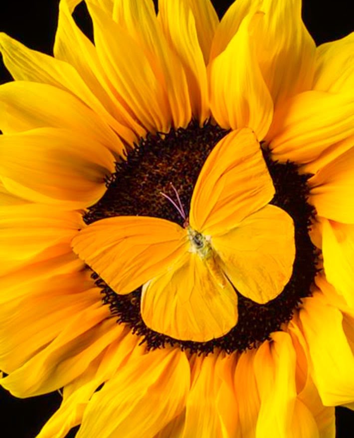 lisbeth_5066's tweet image. Dopo tanti caffè preparati per la #family Ho solo un piccolo dilemma ...  Come ti piace? Dolce o
 amaro?
Un'incertezza che ho da tempo... Una questione ancora irrisolta...
Buona giornata e buona vita a tutti. 
#ilSinonimo