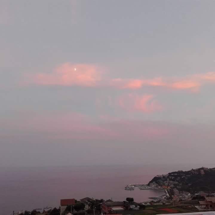 ba_be70's tweet image. Di fronte a te nessuna perplessita'..
#ilSinonimo 
Buongiorno family!!