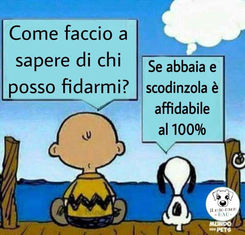 RosannaAvella's tweet image. Il problema è risolto
😍😊

#ilSinonimo
#unTemaAlGiorno