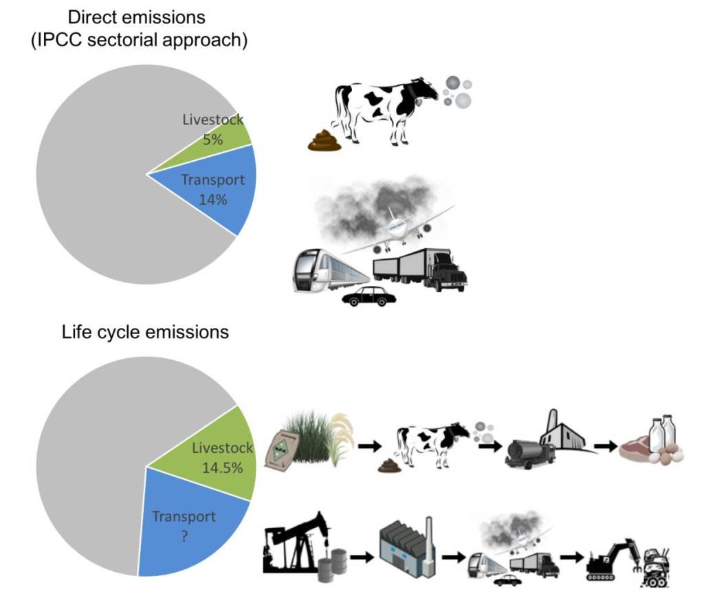 FAO on the common but flawed comparisons of greenhouse gas emissions from livestock and transport clippings.ilri.org/2018/09/19/fao…