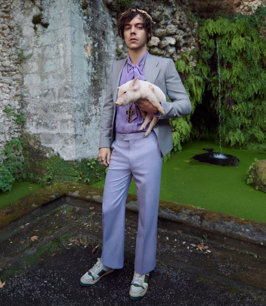 alexandergold's tweet photo. Nothing in my life prepared me for @Harry_Styles and barnyard animals.

NOTHING IN MY WHOLE LIFE. 😭🙌 https://t.co/4XlucmCObG