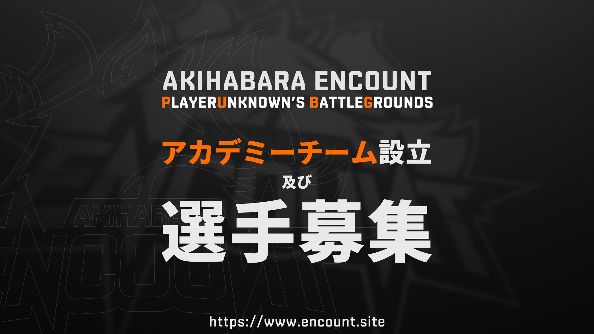 Akihabara Encount