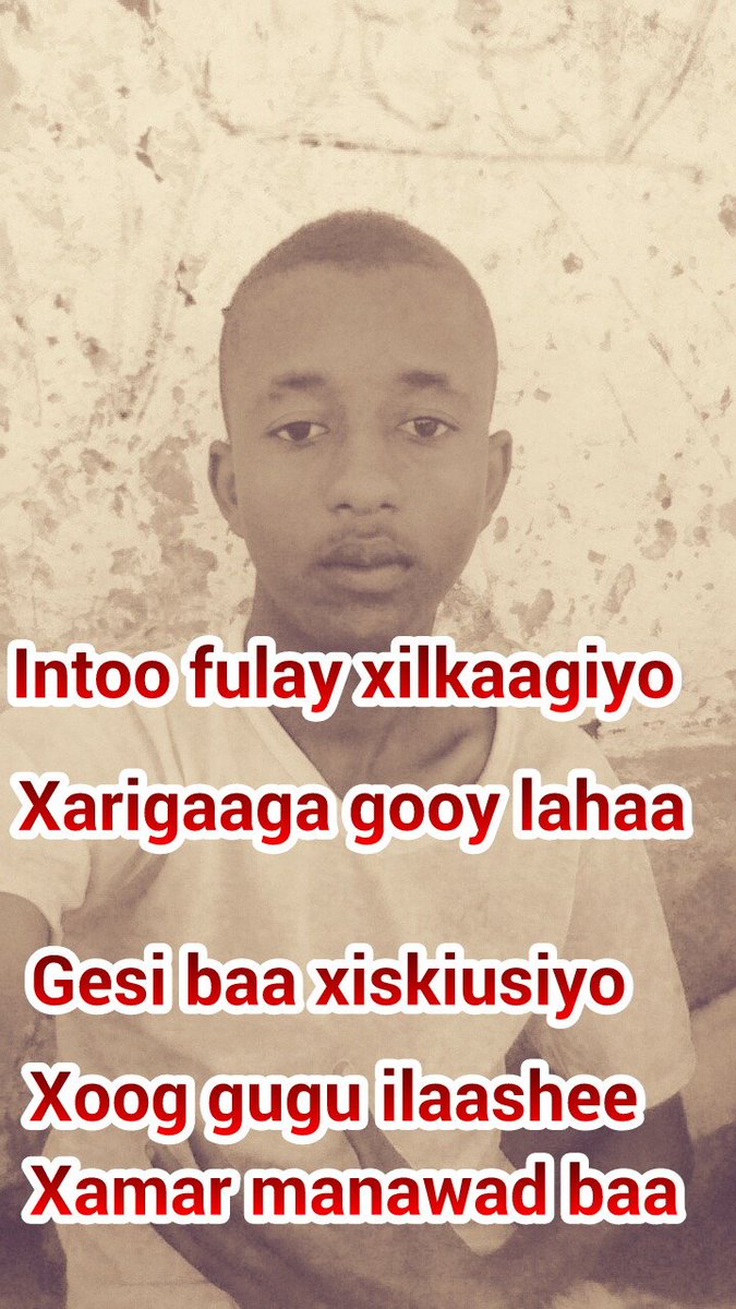 dontAskMeWhatI3's tweet image. Hogvghs