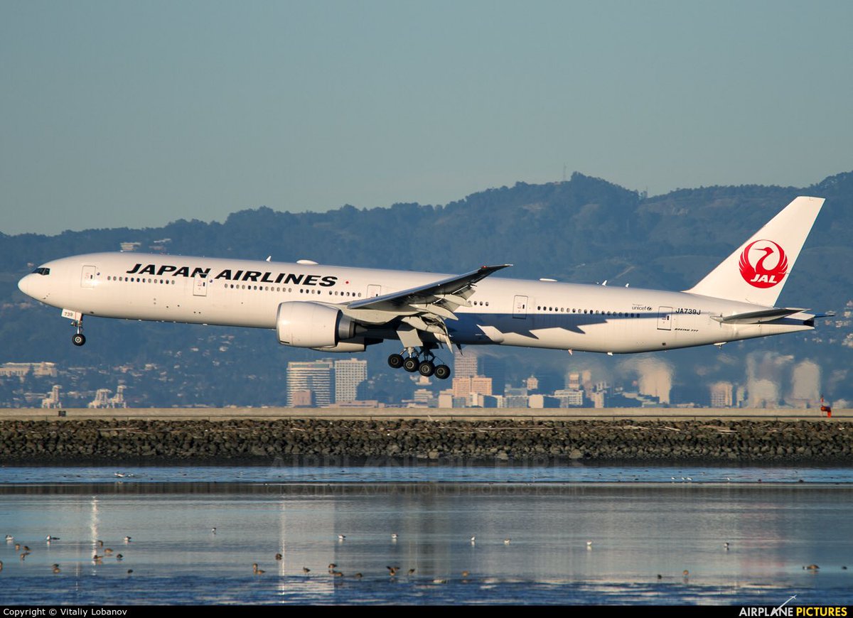 aviknowledge's tweet photo. "Tsurumaru" หรือนกกระเรียนมงกุฎแดง

ตราสัญลักษณ์ของสายการบิน Japan Airlines ที่เริ่มใช้มาตั้งแต่ปีค.ศ. 1958 และกลับมาใช้อีกครั้งในช่วงปี ค.ศ.2011 โดยโลโก้นี้มีความหมายที่แสดงถึง ความสื่อสัตย์ ความแข็งแกร่ง และความโชคดี ตามความเชื่อของชาวญี่ปุ่น (มีต่อ)

#สาระการบินน่ารู้ https://t.co/GJ9wVhQuHy
