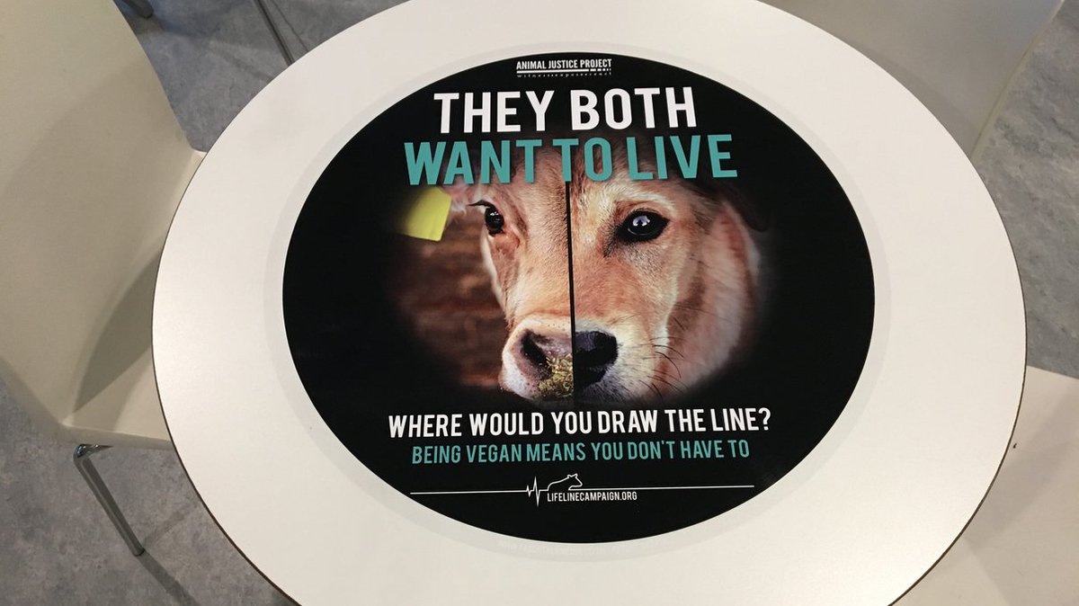 tabletalkmedia's tweet photo. Timely tactical targeting from Animal Justice Project promoting their #lifeline campaign on #university #tablewraps prompting #student debate. See blog for more: https://t.co/1PQwPs8r6p @ajpReact #OOH https://t.co/zGmNSg3Vpu