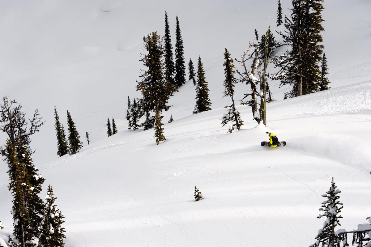 optcool's tweet image. The 18/19 Lib Tech EJack Knife, tapered big mountain freestyle knife ride by @ejackshreds. The Alaskan style ‘fishing-inspired’ art by fellow fisherman, musician and artist Ray Troll. Tap link: bit.ly/2NsFsOp 
#optcool 
#snowboarding
#LibTechnologies
Photo: Lib Tech