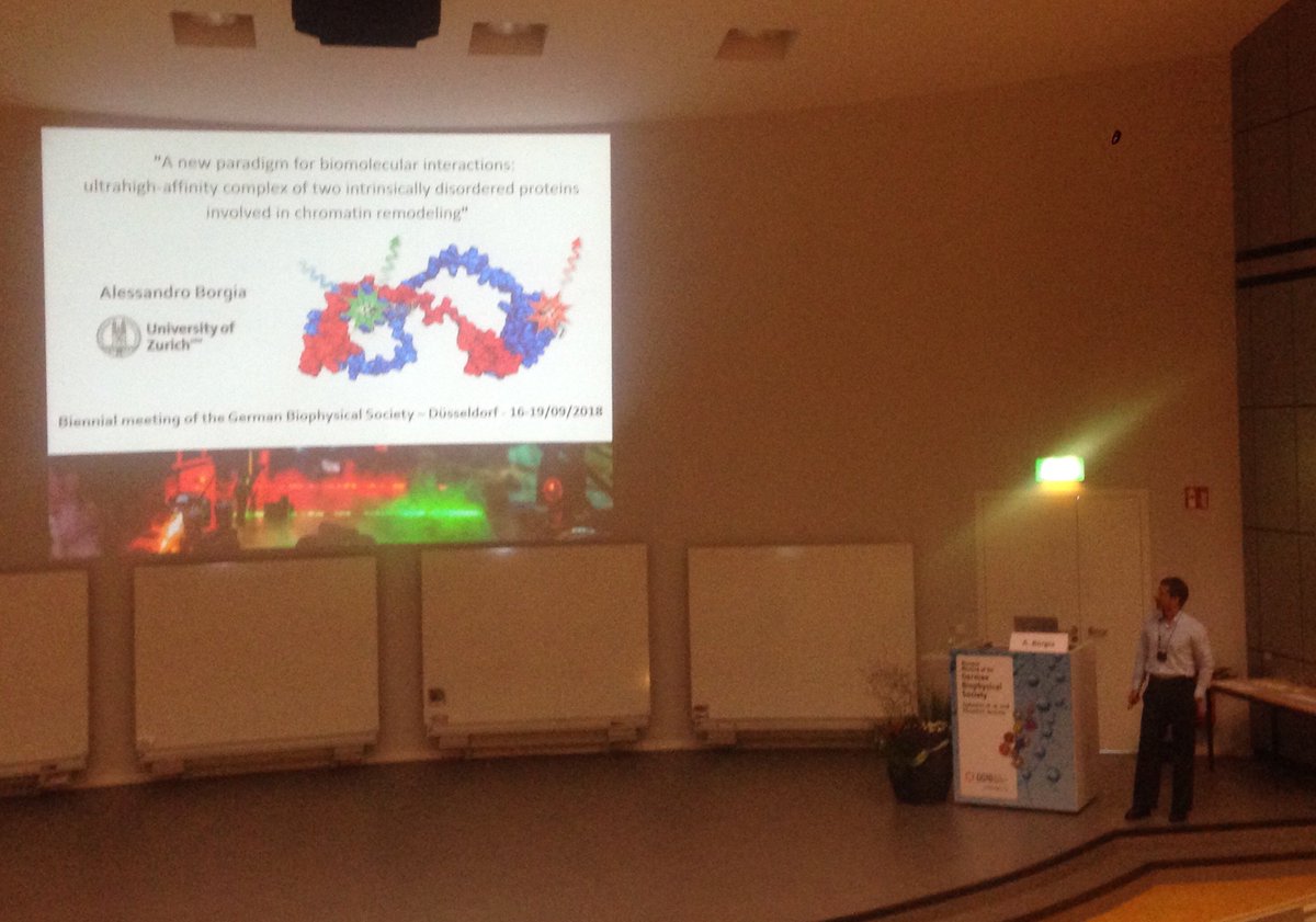 LindorffLarsen's tweet photo. @AleBorgia77 rocks the stage at #DFGB meeting showing work with Madeleine Borgia, Ben Schuler, @rob_best_ @BBKrage @katrinebugge and others on a high-affinity, highly dynamic complex between two intrinsically disordered proteins combining NMR, #smFRET and simulations 1/6 https://t.co/jsKFUFATIf