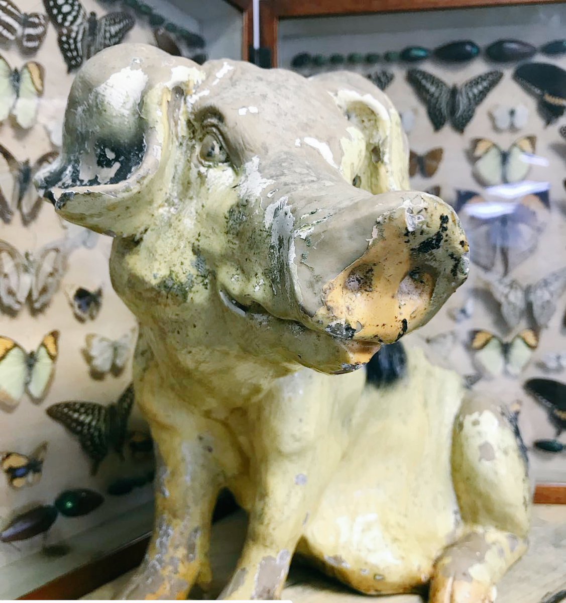 Come and meet this little charmer in the Drey building <a href="/waterlockhouse/">Judith</a> this weekend 21-22-23rd <a href="/TheBigBrocante/">The Big Brocante</a>  #antiques #decorative