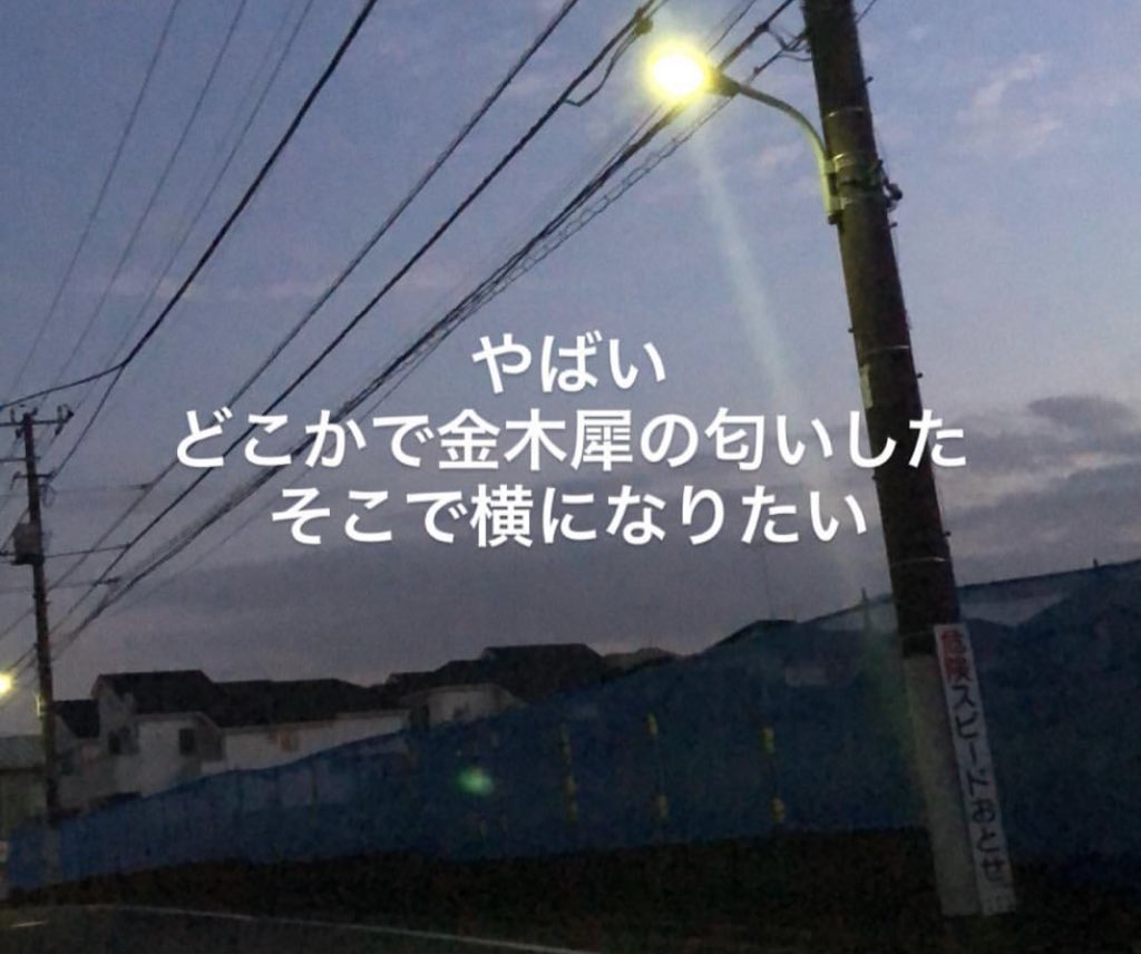 玉森達也 玉森達也