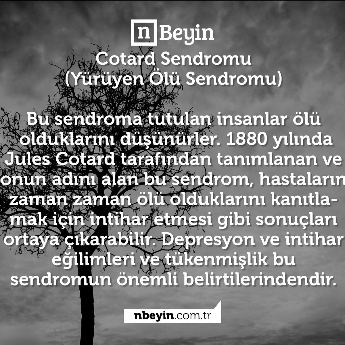 [n]Beyin (@nbeyin) on Twitter photo 