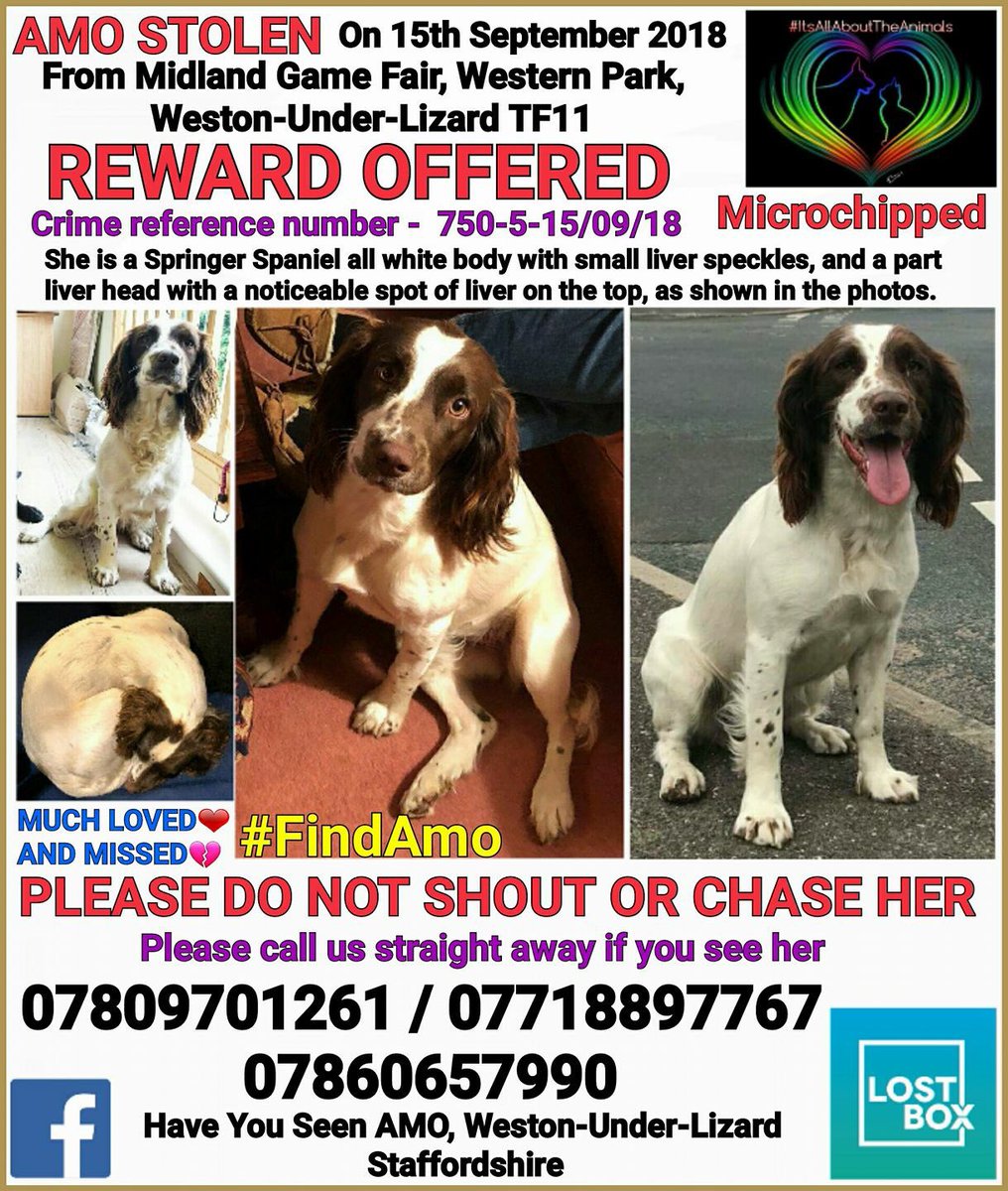 DuncanTweedsThomas tweet media