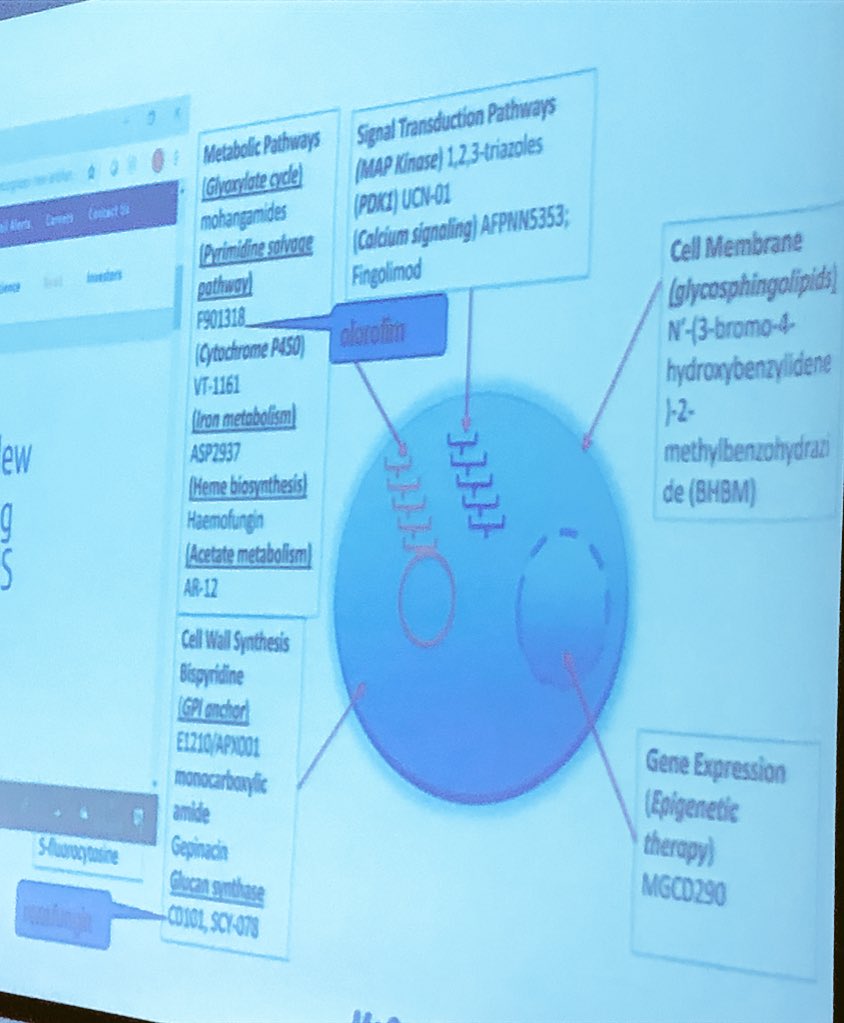 Ana_Alastruey's tweet photo. Excellent work by @JacquesMeis taking over @CornelyOliver very comprehensive and interesting slides about new antifungals #excitingtopic #ESCMIDmyco18 @eurconfmedmycol @ESCMID https://t.co/VGSgQIDRPi