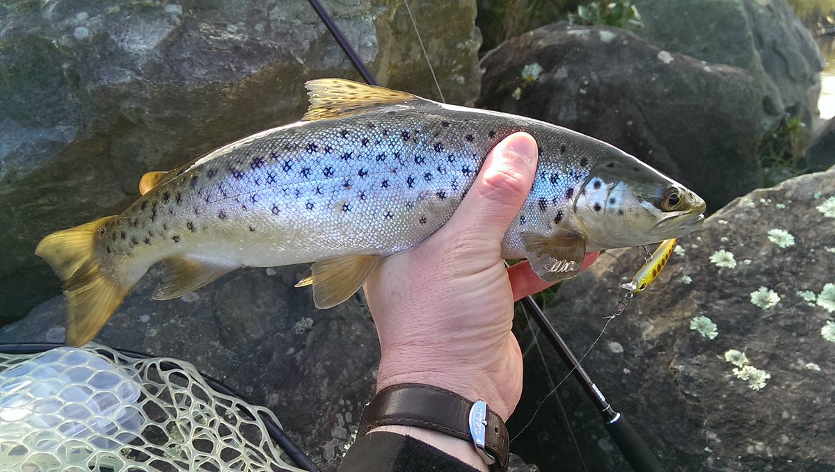 Bojan Cvetkovic tweet media