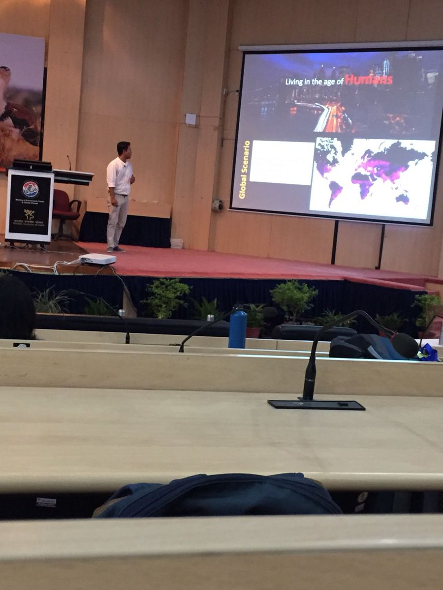 shivam_wolf's tweet photo. @thewild_dodo Tigers living in human dominated landscape have to manage their movement through agriculture land during dispersal, requiring 24% more prey biomass. #WIIARS2018 https://t.co/6uDIJMMI5F