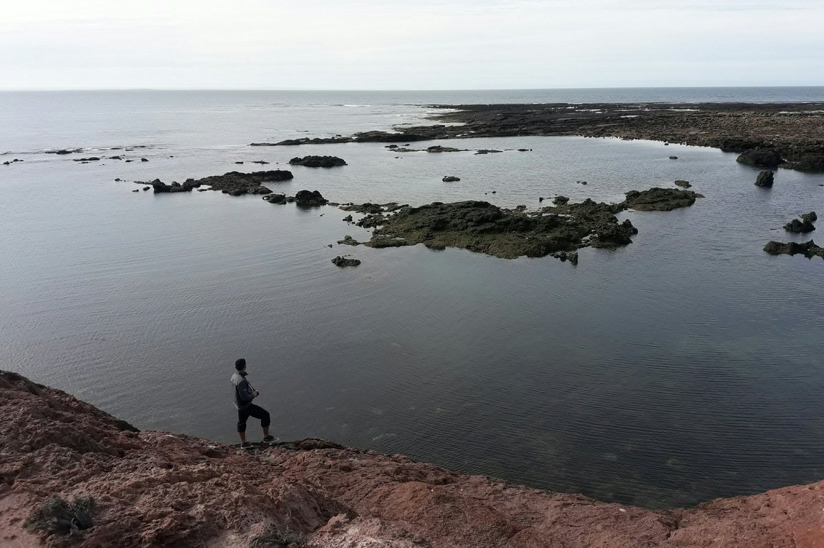 rhuenchul_ok's tweet photo. Pingüinos, Lobos Marinos, Delfines y Aves congregados desde #Sept hasta #Abril en las costas de #CamaronesCht cuidemos nuestros recursos naturales #DescubriCamarones @DocFIR @SebaSepadrums @StephaneOceania @roximancini @LautaroEscuder2 @deluca_de @ChubutPatagonia @ParquesOficial https://t.co/iqofticyfK
