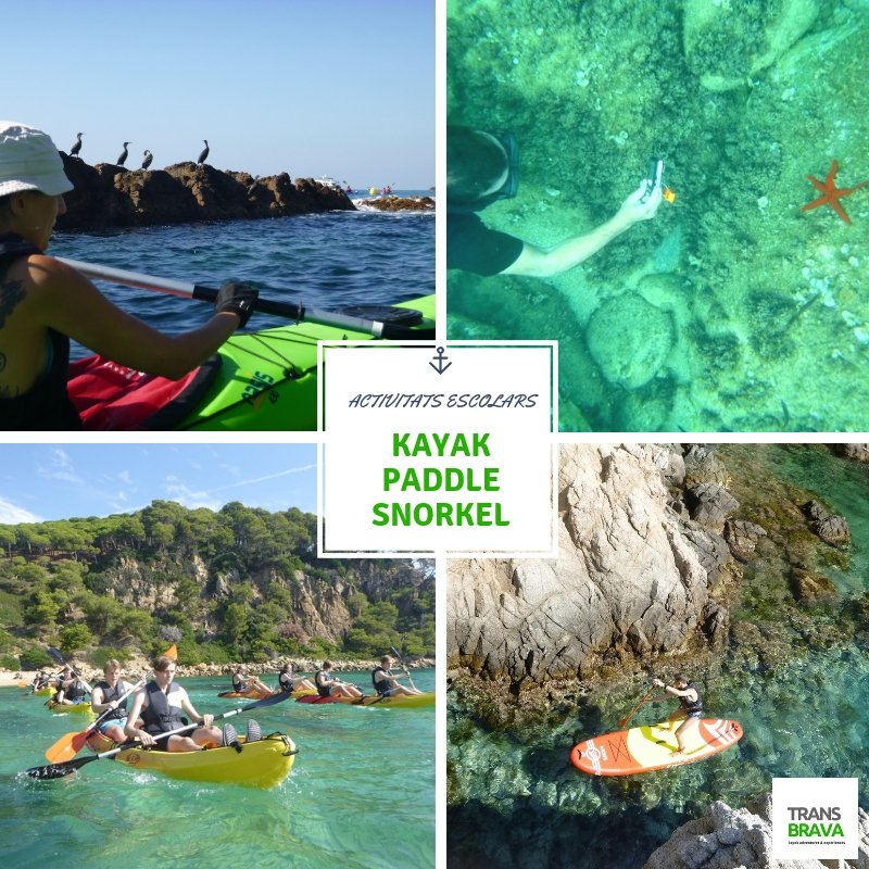 TRANSBRAVA kayak & paddle SUP tweet media