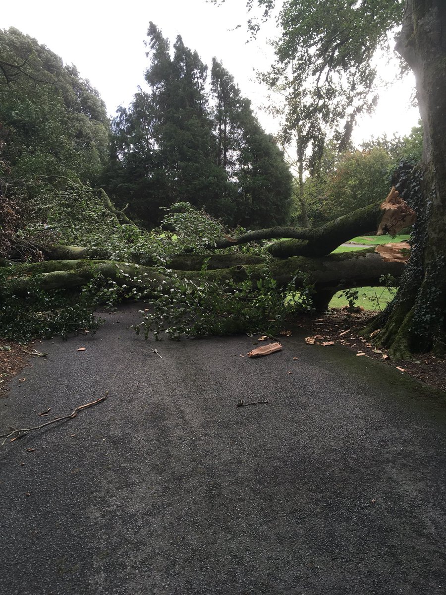 Day 2 of the <a href="/NPAIE/">National Ploughing</a> cancelled due to #StormAli Hopefully we get out for Day 3 #Ploughing18