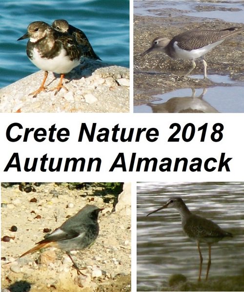 cretenaturalist's tweet photo. @ibisHeraklion 14 Top things to look out for this autumn in the #CreteNature #AutumnAlmanack 2018: https://t.co/jjBPLS4jHO https://t.co/RGxaNQAdU3