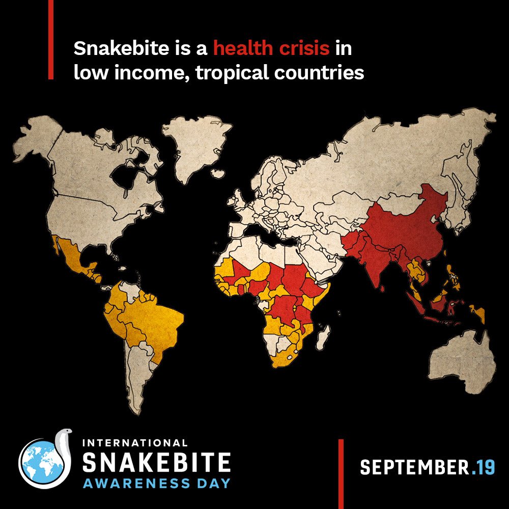 Centre for Snakebite Research & Interventions tweet media
