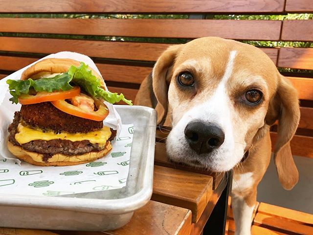 Last name, Hungry. First name, Always. 🍔❤️ Happy #nationalcheeseburgerday! ift.tt/2NqluYi