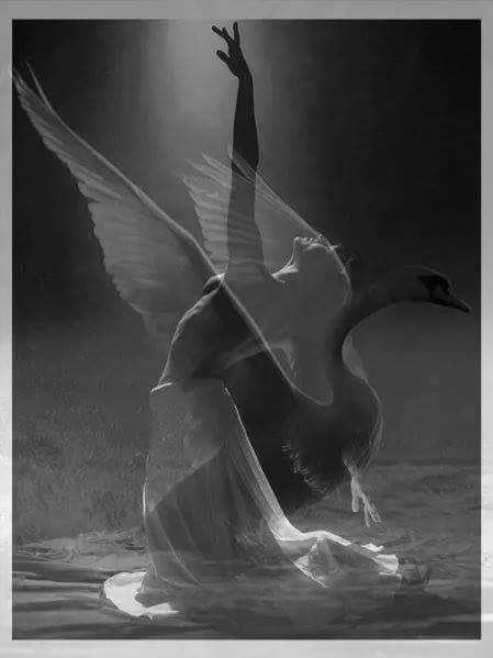 sorridicncausa's tweet image. Con le mani amore per le mani ti prenderò
e senza dire parole nel mio cuore ti porterò 
non avrò paura se non sarò bella come vuoi tu
ma voleremo in cielo in carne e ossa non torneremo più
_De Gregori_
Il corpo che cos'è il corpo sei non hai l'anima
Solo un problema.
#ilSinonimo