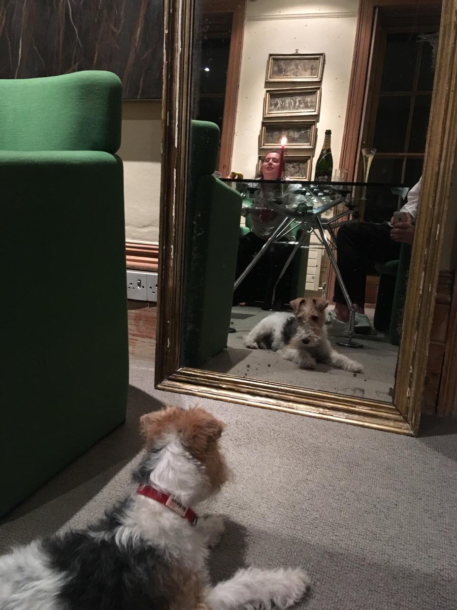 RileyIcecream's tweet image. Our favourite much loved Crouch End Icon contemplating the new season Menu! C u here for a great Ice as always.