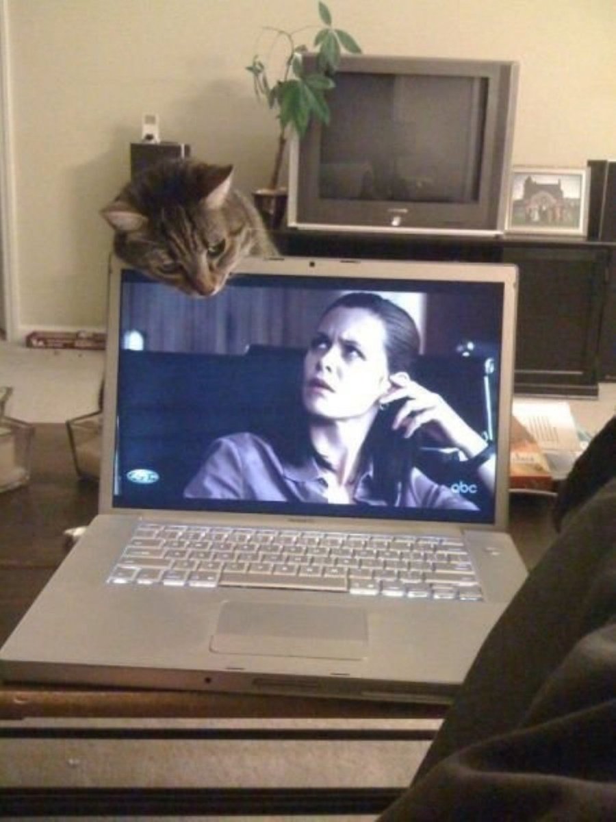 EvilCryptoCat's tweet photo. #bitcoin #payperblock #ETHL #l4l #こうちゃ #enjoylife #photo #eucare4mycat https://t.co/YxDwEGPVP5