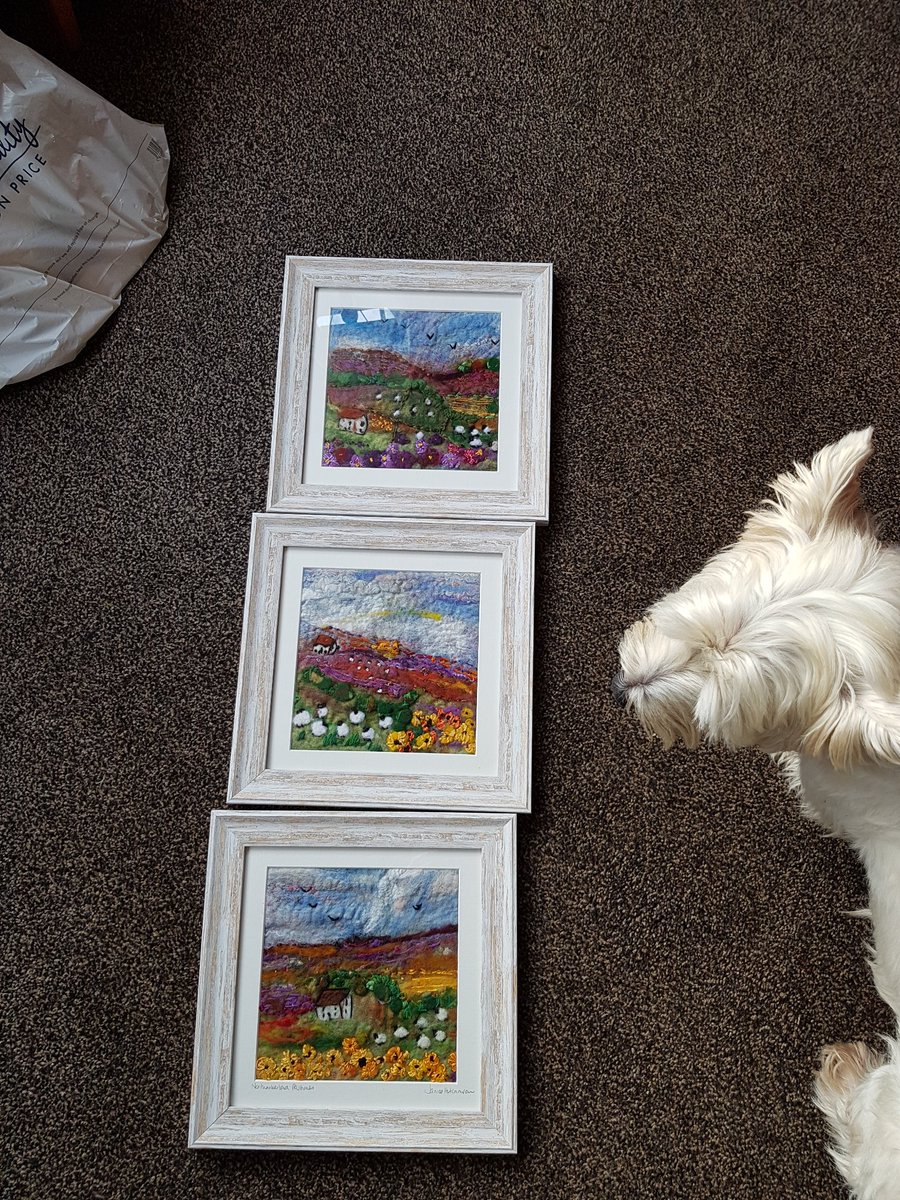 JanHut4's tweet photo. Busy making more pictures for@bpethcastle Art fair Sept 29&amp;30th . Helping is Scamp westie . @colourinfelt.co.uk https://t.co/nebW7gKfWD