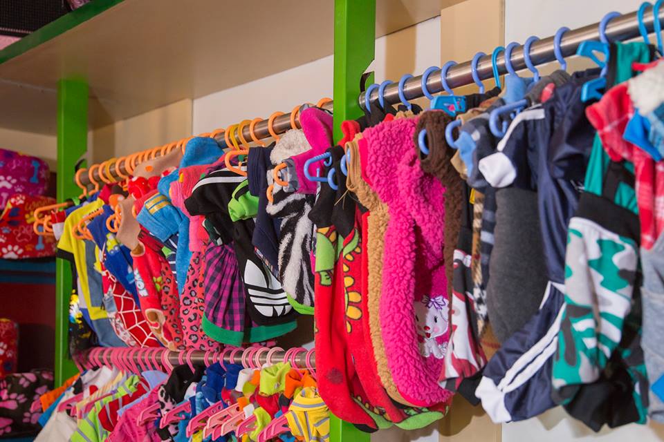 marichigua's tweet photo. Se acerca la primavera y luego llegará el invierno.
¿Ya escogiste el atuendo perfecto para abrigar a tu mascota? 😊👌
En #MarichiguaShop podrás encontrar disímiles modelos y tipos de tela. ¡Visítanos! https://t.co/gi8gwij5cG