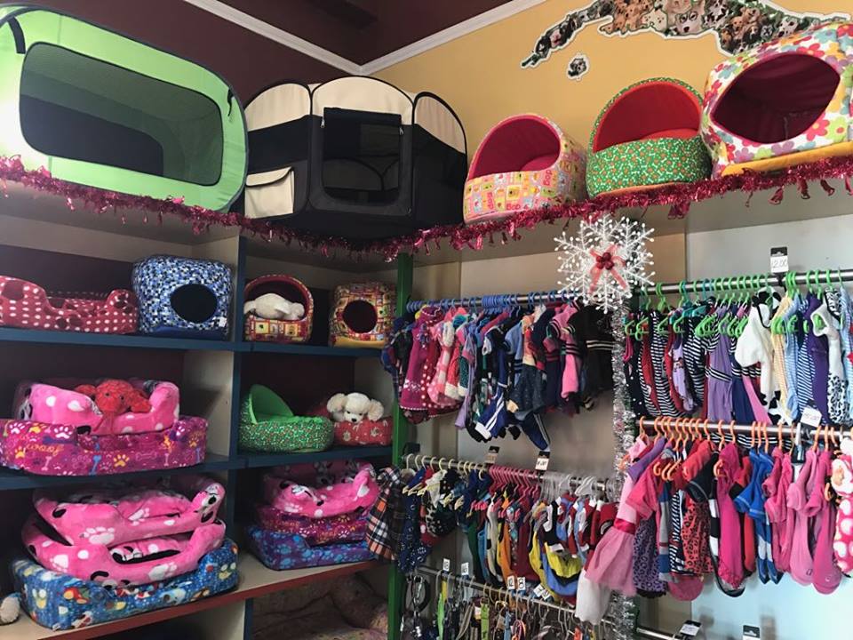 marichigua's tweet photo. ¡Lo que buscas, nosotros lo tenemos!
Accesorios para tu #mascota, todo para brindarles el cariño y la atención que ellos merecen. 😁🐶👌 https://t.co/5wh3g1KtRV