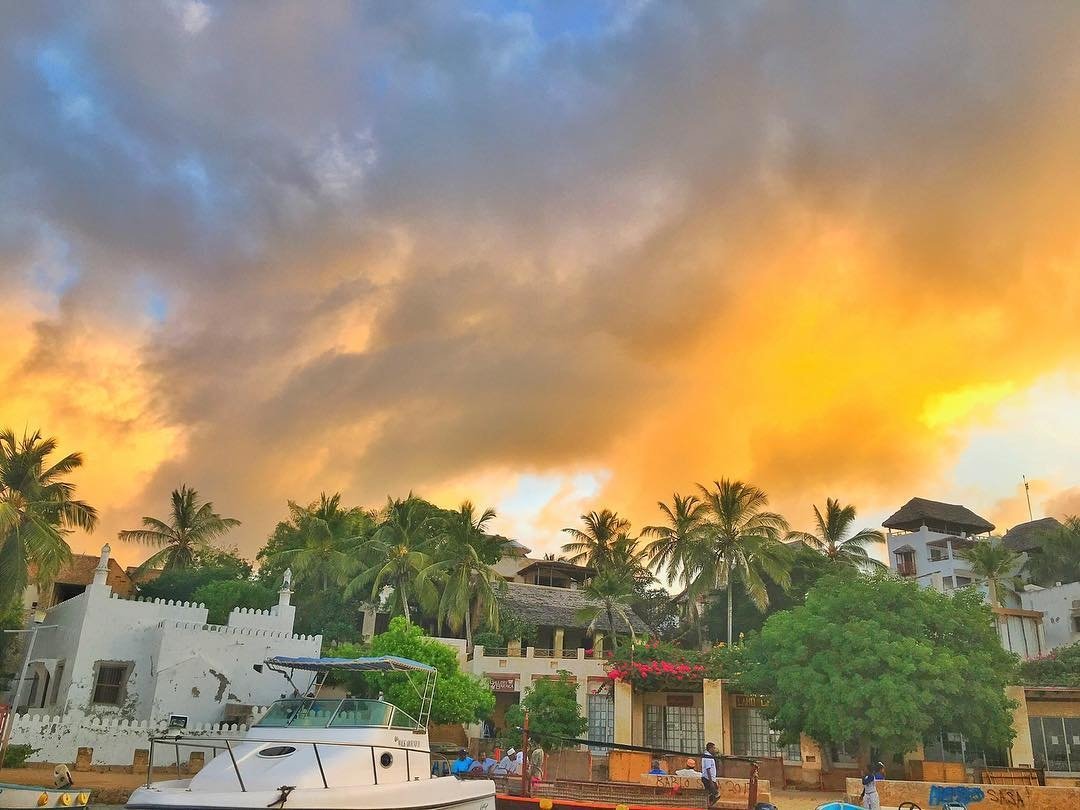 SkywardAirline's tweet photo. If these pictures do not inspire your #wanderlust to go #discoverlamu then we do not know what else would. Daily flights at https://t.co/mEzIw2sNyf #flyskyward #tembeakenya #magicalkenya #twendelamu

📸 by Moonhouses Lamu https://t.co/38CSeq7OUX
