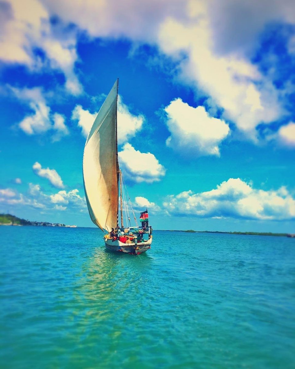 SkywardAirline's tweet photo. If these pictures do not inspire your #wanderlust to go #discoverlamu then we do not know what else would. Daily flights at https://t.co/mEzIw2sNyf #flyskyward #tembeakenya #magicalkenya #twendelamu

📸 by Moonhouses Lamu https://t.co/38CSeq7OUX