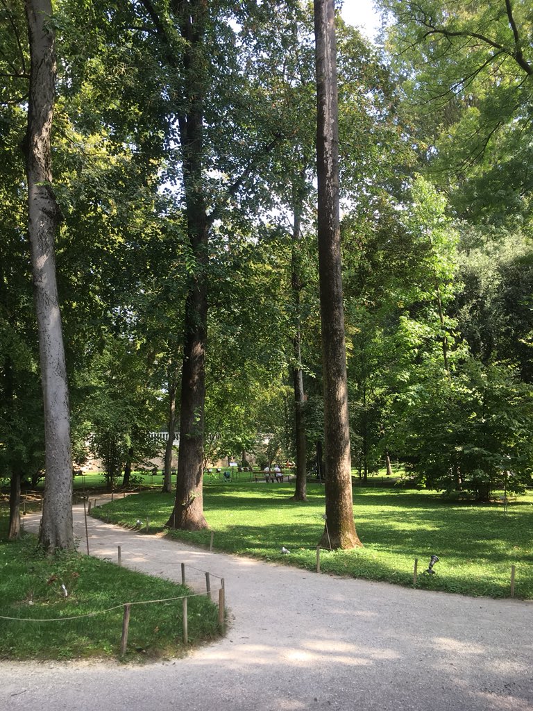 cfdesheff's tweet photo. "There is no greater good that could be done for health promotion than the protection of the green infrastructure on which all humans depend " Prof Paolo Semenzato @AiphGlobal @OrtoBotanicoPd https://t.co/HFEKaePgOL