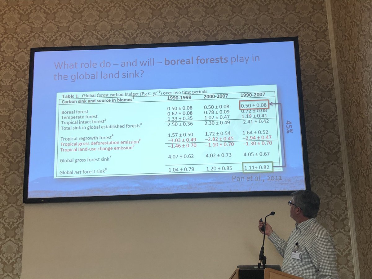Bird_Wells's tweet photo. Boreal Forest has played huge role in absorbing carbon says @UMaine researcher at Cool Forest Conference #ibfra18 #coolforests https://t.co/SQlAOKZQBt @BorealForest @IUCN_forests @IUFRO @IIASAVienna @WoodsHoleResCtr @cpaws @UMaineNews @cathmckenna @BeWildON @faisal_moola @UNFCCC https://t.co/vmDWyQxzlL