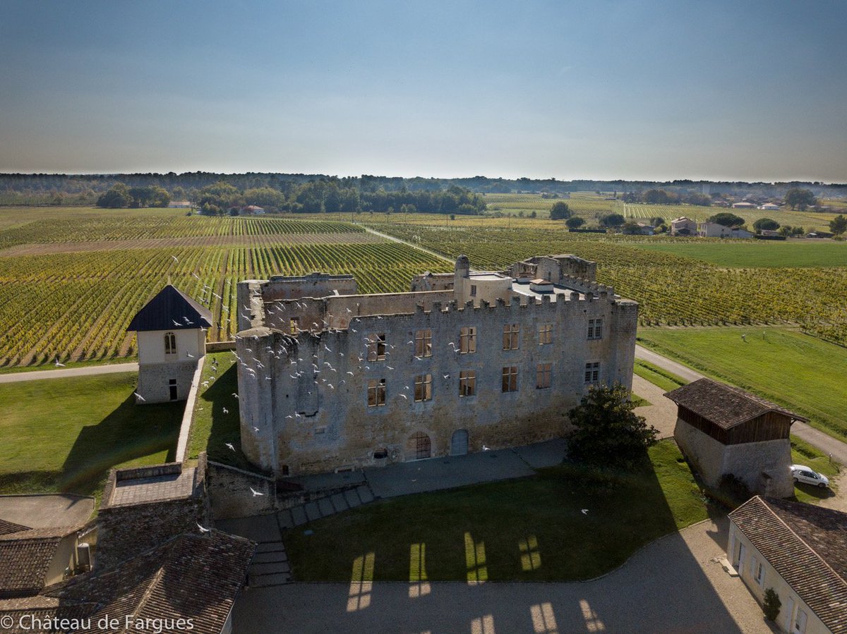Today, we are thrilled to release Château de Fargues 2015. 
No doubt that this vintage 2015 will find its place in the beautiful series of famous years in “5”.
See what the critics had to say ...
chateaudefargues.com/en/vintage-far…
#sauternes #bordeaux #goldwine #LurSaluces #Vintage2015