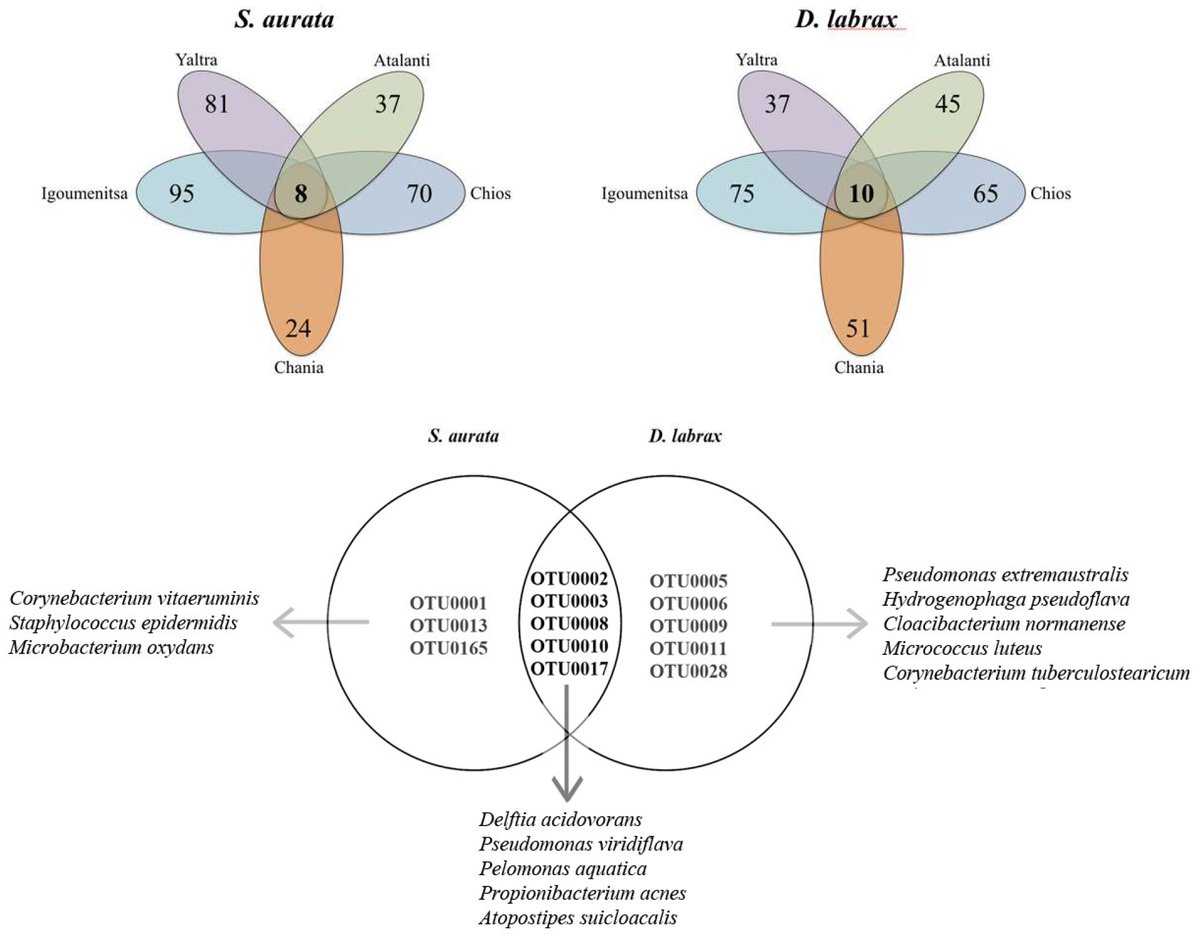 Micro_MDPI's tweet photo. #Gut #Bacterial #Communities in Geographically #Distant #Populations of Farmed Sea Bream (Sparus aurata) and Sea Bass (Dicentrarchus labrax)
https://t.co/MtuHTTJuwI
PubMed: https://t.co/t1IQOuuZlW
#teleosts; #intestine; #bacteria; #microbiota; #aquaculture https://t.co/a6DFgD39xH