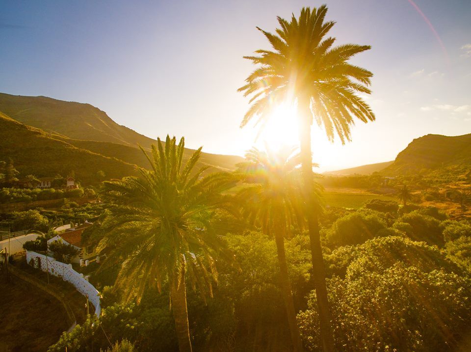 AlexBramwellGC's tweet photo. Retweet if you love #GranCanaria https://t.co/uF1SzcBY3c