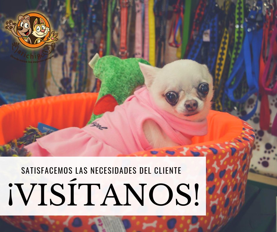 marichigua's tweet photo. Nuestro objetivo fundamental es satisfacer las necesidades del cliente y darle los gustos a su mascota ofreciendo una completa línea de productos para el cuidado y comodidades de los más pequeñines de casa, ¡nuestras mascotas! 😉👌 https://t.co/pCcIhuDUJM
