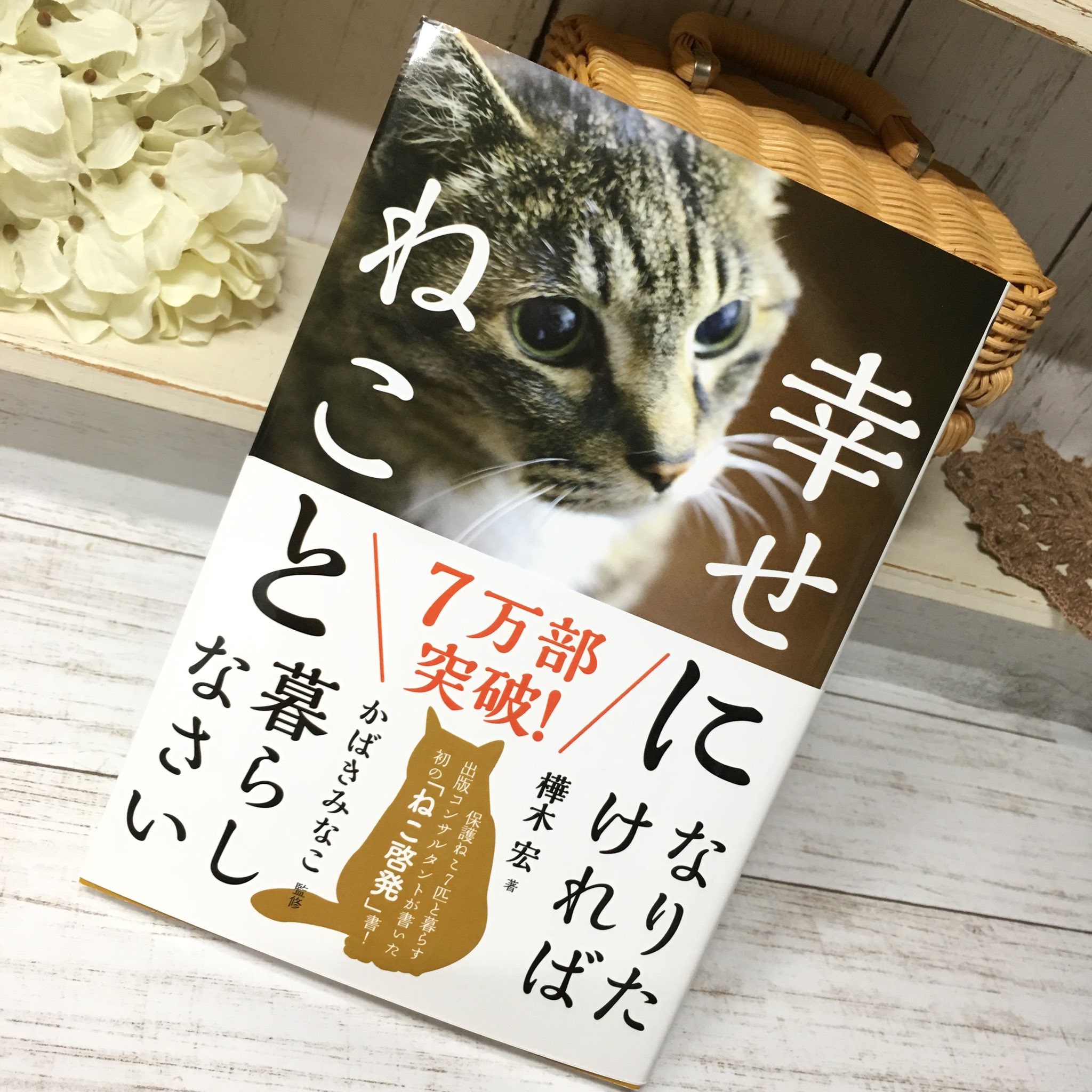 樺木宏 - Twitter Search / Twitter