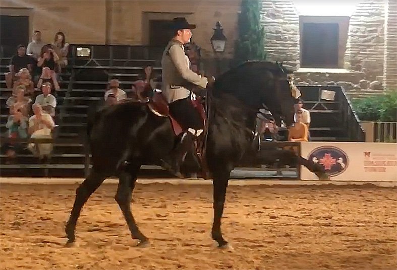 Francisco Amador, vencedor de la Primera Copa de España de Alta Escuela, en Cabalcor <a href="/CordobaEcuestre/">Córdoba Ecuestre</a> <a href="/CaballosPRE/">Yeguada Agricola Peralta</a> informacionecuestre.com/francisco-amad…