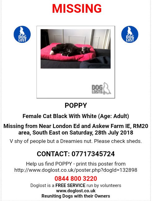 MissingPetsGB's tweet photo. ๐ฑ#wednesdaythoughts Can today be the day these 4 #missingmoggies come back to their families ๐๐๐
Please RT and help find these much loved ladies #IslaBlue #Poppy #Marley #Bonnie
These girls are not strays & they each have their own families who are missing them desperately. https://t.co/hprvHhsRmx