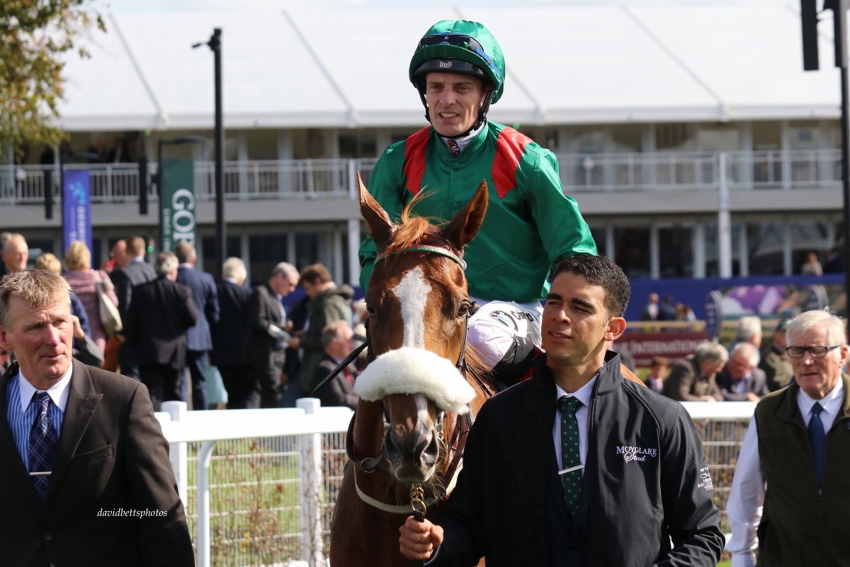 MoyglareStud's tweet image. Many congratulations to all the connections of @AgaKhanStuds #Moyglare "Jewels" Blandford Stakes winner #Eziyra @curraghrace on Sunday @declanmcdonogh @PatDownes2  #CarlosAthilas #TeamRosewell